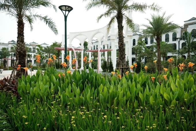 2-1754559136-6573-1754559320 Không gian xanh tại dự án. Ảnh: Kita Group